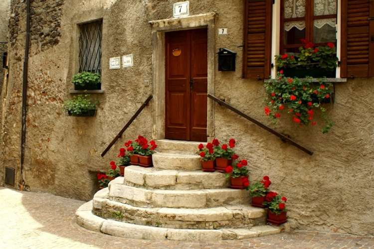 Tremosine